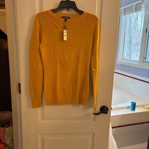 Express Crewneck sweater